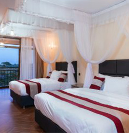 Two beds with nets, as shown for the deluxe double