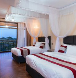 Two beds with nets